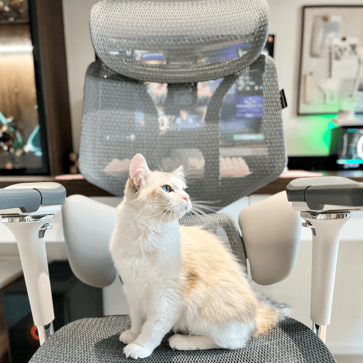 Visual Guide to Office Ergonomics: Create a Comfortable Sitting Space