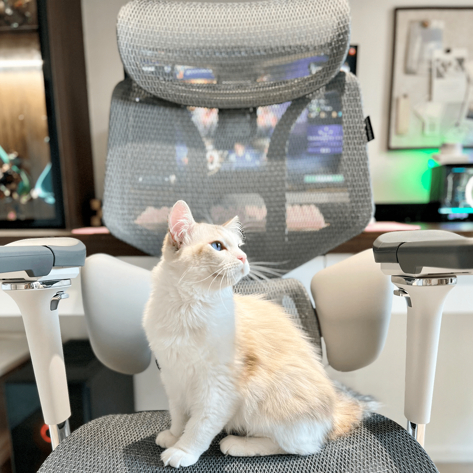 Visual Guide to Office Ergonomics: Create a Comfortable Sitting Space