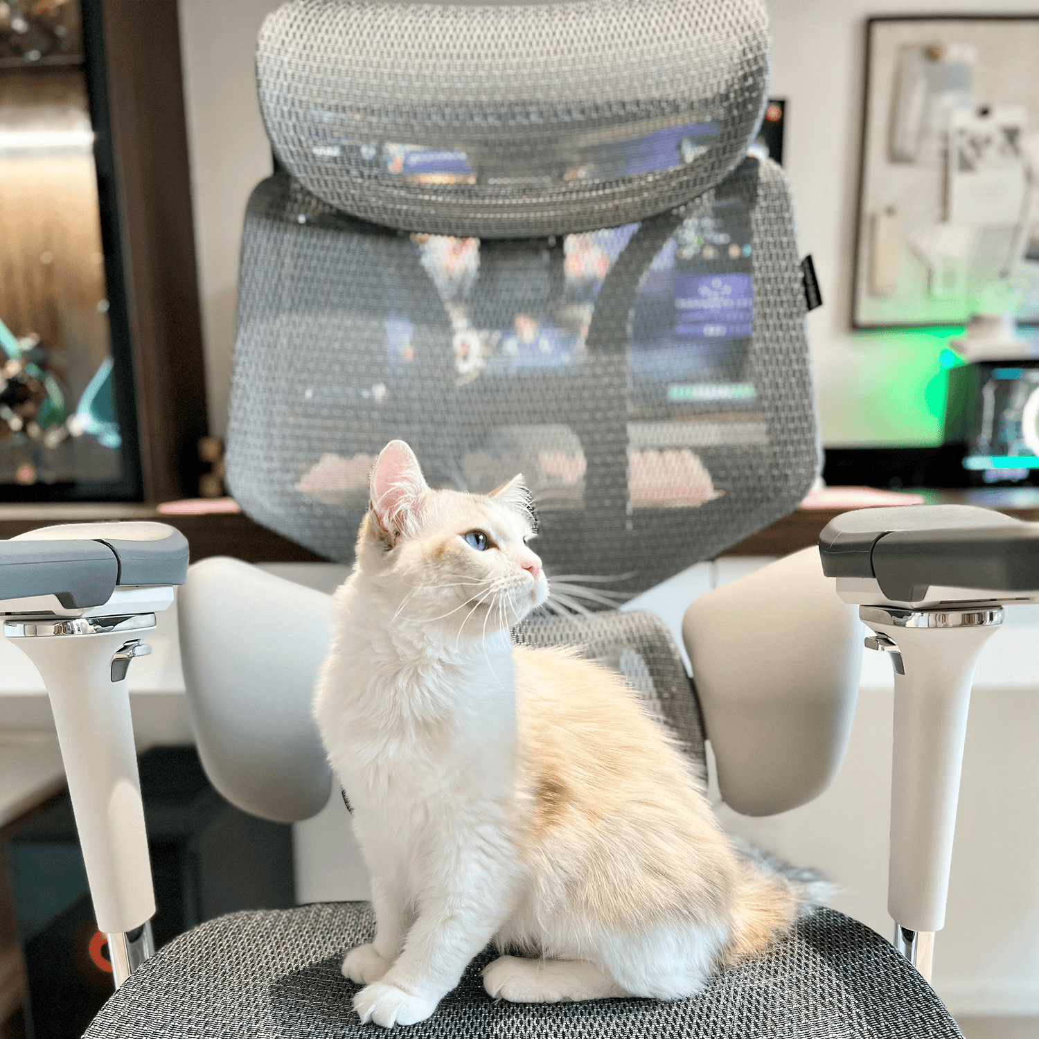 Visual Guide to Office Ergonomics: Create a Comfortable Sitting Space