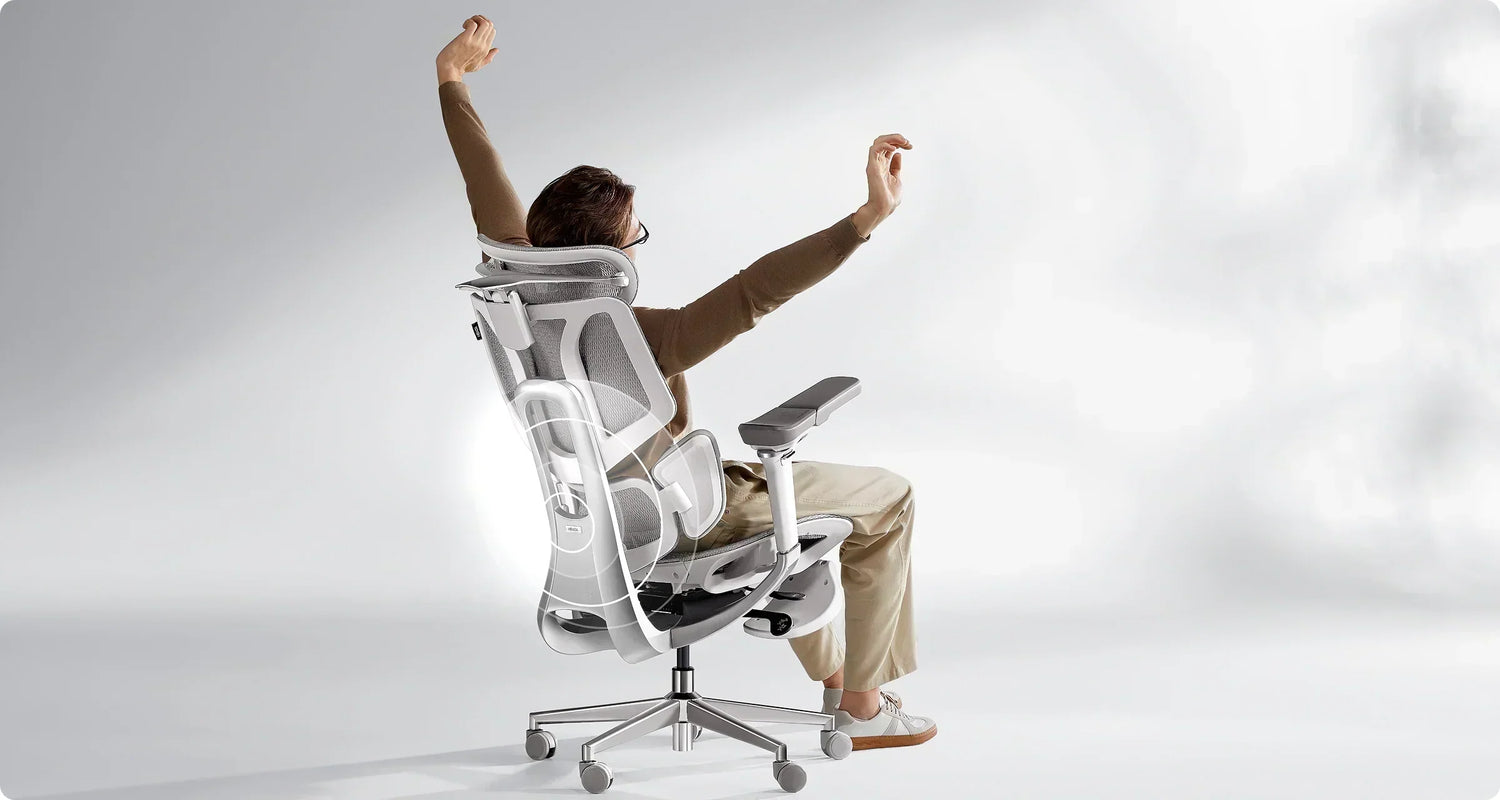 Hbada E3 Ergonomic Office Chair: The Best Ergonomic Chair