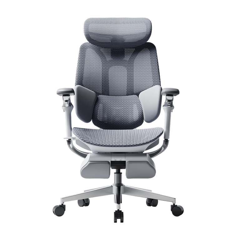 Ergonomic office chair with mesh back and seat gray~1-1