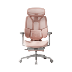 HBADA E3 Air Ergonomic Office Chair Pink