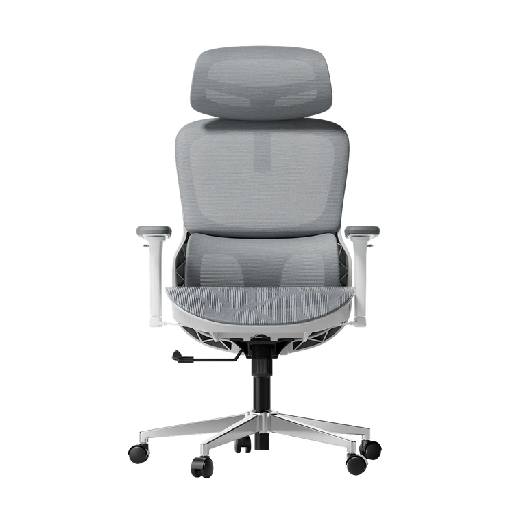P2 Pro Ergonomic Office Chair without Footrest-Gray~0-0
