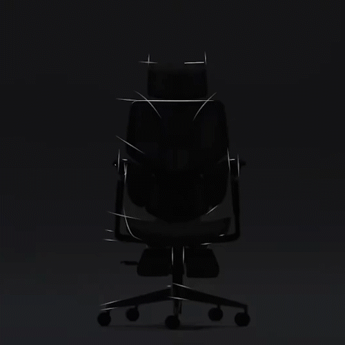 HBADA E3 ergonomic office chair--Black