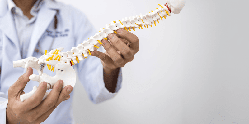 5 Reasons Why More Europeans Are Switching to Ergonomic Chairs