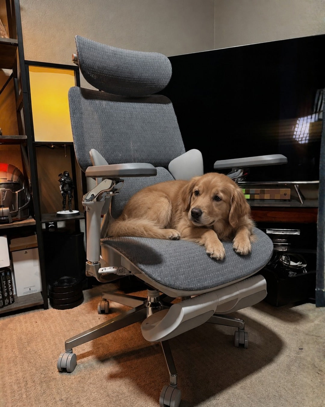 BIFMA X5.1 Certification: What Office Chair Buyers Should Know