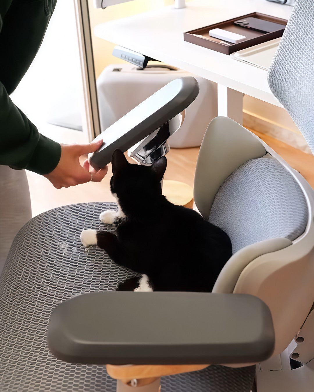 Do Therapeutic Office Chairs Really Work? Benefits, Limits and Insights