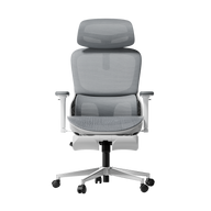 P2 Pro Ergonomic Office Chair with Footrest-Gray~0-1
