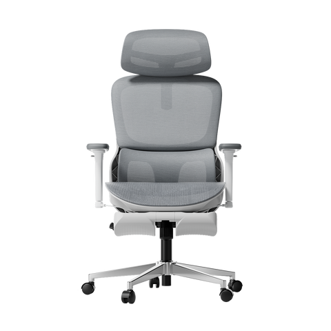 P2 Pro Ergonomic Office Chair with Footrest-Gray~0-1