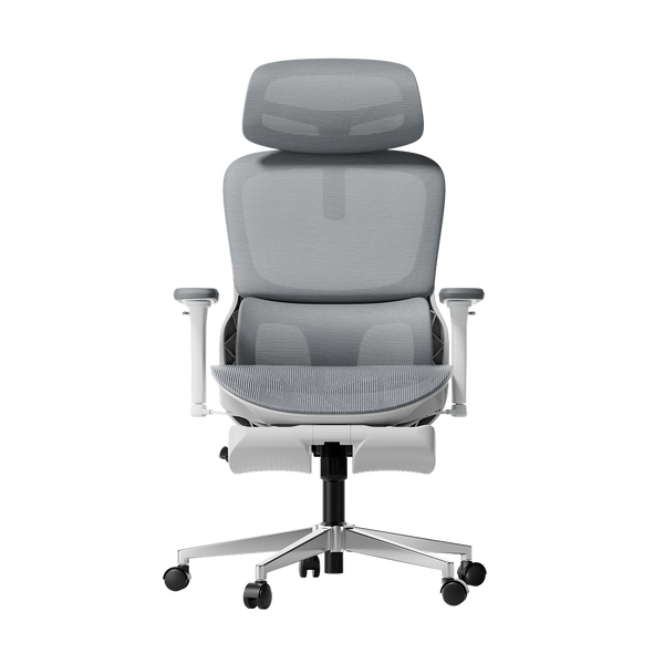 P2 Pro Ergonomic Office Chair with Footrest-Gray~0-1