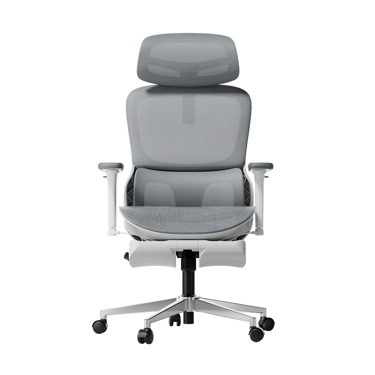 P2 Pro Ergonomic Office Chair with Footrest-Gray~0-1