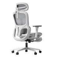 P2 Pro Ergonomic Office Chair with Footrest mesh back-Gray~0-1
