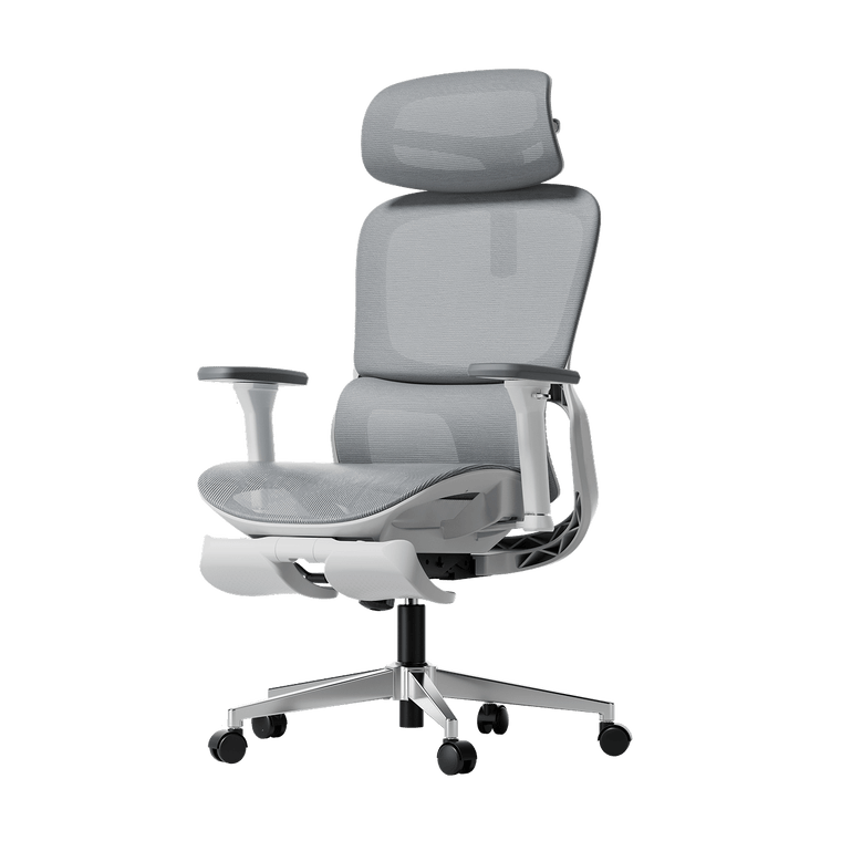 P2 Pro Ergonomic Office Chair with Footrest headrest lumbar support-Gray~0-1