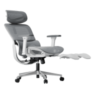 P2 Pro Ergonomic Office Chair with Footrest 140 degree tilt~0-1