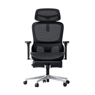 P2 Pro Ergonomic Office Chair with Footrest-Black~1-1