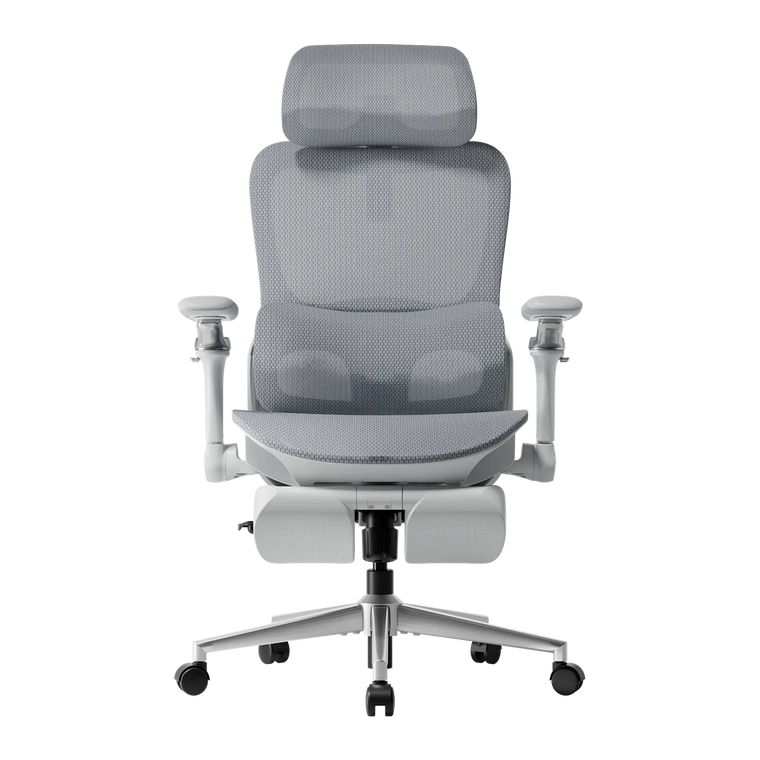 HBADA P2 Ultra Ergonomic Office Chair
