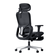 P2 Pro Ergonomic Office Chair-Black~1-1
