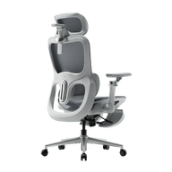 hbada P2 Ultra Ergonomic office chair with footrest-Gray~0-2