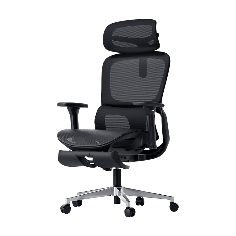 P2 Pro Ergonomic Office Chair with Footrest lumbar support-Black~1-1