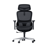 P2 Pro Ergonomic Office Chair without Footrest-Black~1-0