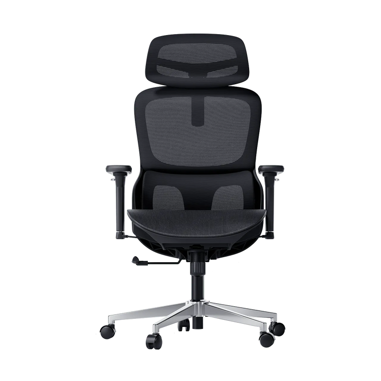 P2 Pro Ergonomic Office Chair without Footrest-Black~1-0