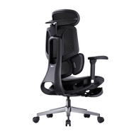 E3 air 2026 edition office chair with adjustable armrests and backrest  black ~0-1