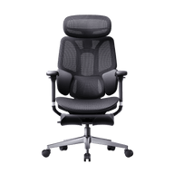 E3 AIR ergonomic office chair 2026 edition black ~0-1