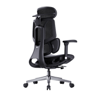 e3 air 2026 editiion office ergonomic chair with adaptive lumbar soupport  black~0-0