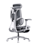 HBADA E3 AIR Ergonomic office chair with adjustable features  gray~1-1