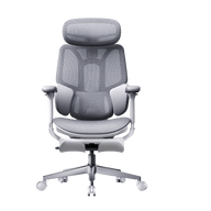 E3 AIR 2026 office chair with mesh back  gray~1-1