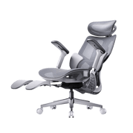 HBADA E3 AIR 2026 ergonomic office chair with headrest Footrest recline gray~1-1
