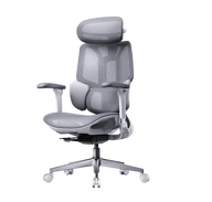 e3 air 2026 edition office ergonomic chair with adaptive lumbar support  gray~1-0