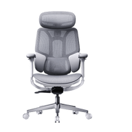 e3 air 2026 edition office ergonomic chair with adjustable lumbar support, headest, armrest, backrest  gray~1-0