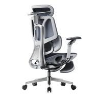HBADA E3 Pro Ergonomic Office Chairs 2026 Edition~0-1-1