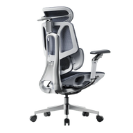 HBADA E3 Pro Ergonomic Office Chairs 2026 Edition~0-1-0
