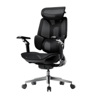 HBADA E3 Pro Ergonomic Office Chairs 2026 Edition~0-0-0