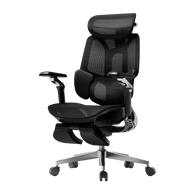 E3 PRO 2026 EDITION  ergonomic office chair with adjustable lumbar support armrest and headrest black~0-1