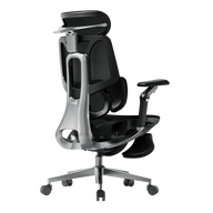 Ergonomic office chair with black mesh back and silver frame black~0-1