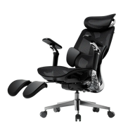 E3 PRO 2026 EDITION ergonomic office chair with mesh back black~0-1