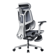 E3 PRO 2026 Ergonomic office chair with adjustable footrest gray~1-1