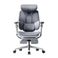 Ergonomic office chair with mesh back and seat gray~1-1