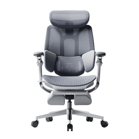 Ergonomic office chair with mesh back and seat gray ~1-0