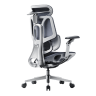 E3 PRO 2026 EDITION Ergonomic office chair with adjustable BACKREST gray~1-0