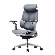 E3 PRO 2026 EDITION office chair with adjustable lumbar support headrest and armrest gray~1-0