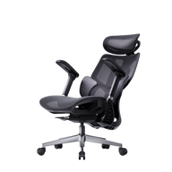 HBADA E3 Air Ergonomic Office Chair without footrest black~1-0