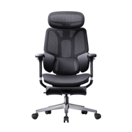 HBADA E3 Air Ergonomic Office Chair without footrest black~1-1