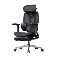 HBADA E3 Air Ergonomic Office Chair without footrest black~1-1