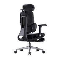 HBADA E3 Air Ergonomic Office Chair without footrest black~1-1