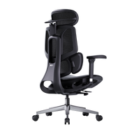 HBADA E3 Air Ergonomic Office Chair without footrest black~1-0