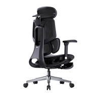 HBADA E3 Air Ergonomic Office Chairs 2026 Edition~1-0-1